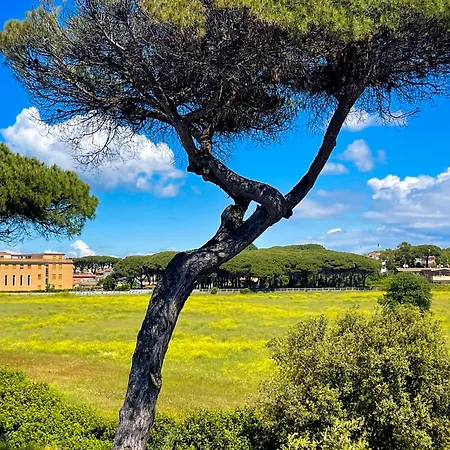 Felyx - Bright, Spacious, And 100 Mt From The Waves - Lavinio Mare Anzio